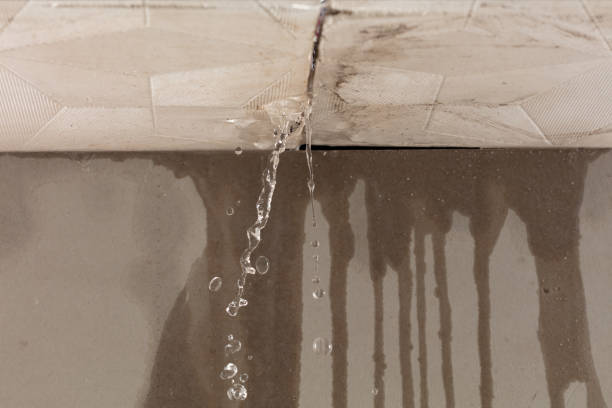 Professional Structural Drying technician working in Babylon, NY